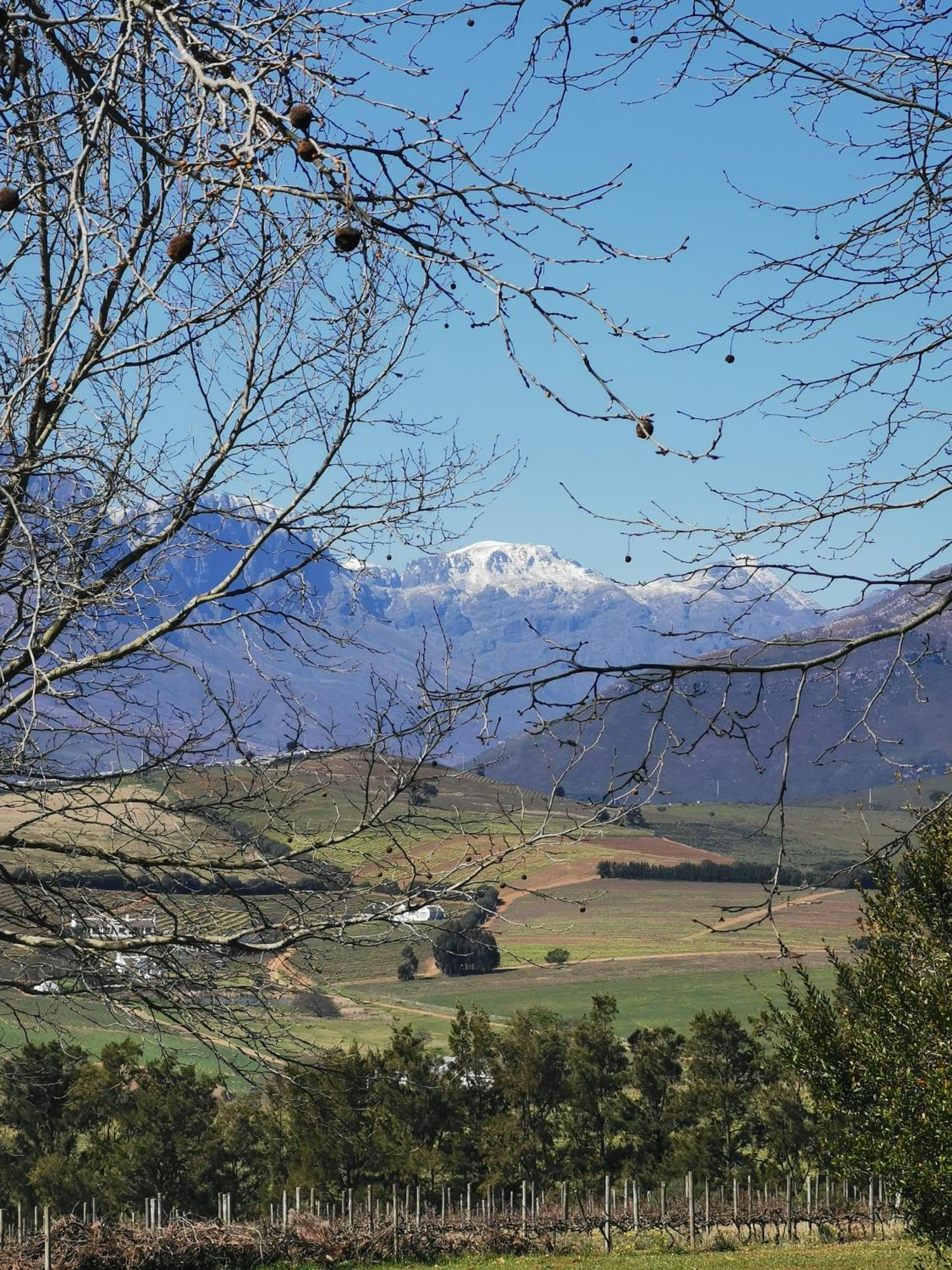 Gemoedsrus Farm Villa Stellenbosch Eksteriør billede